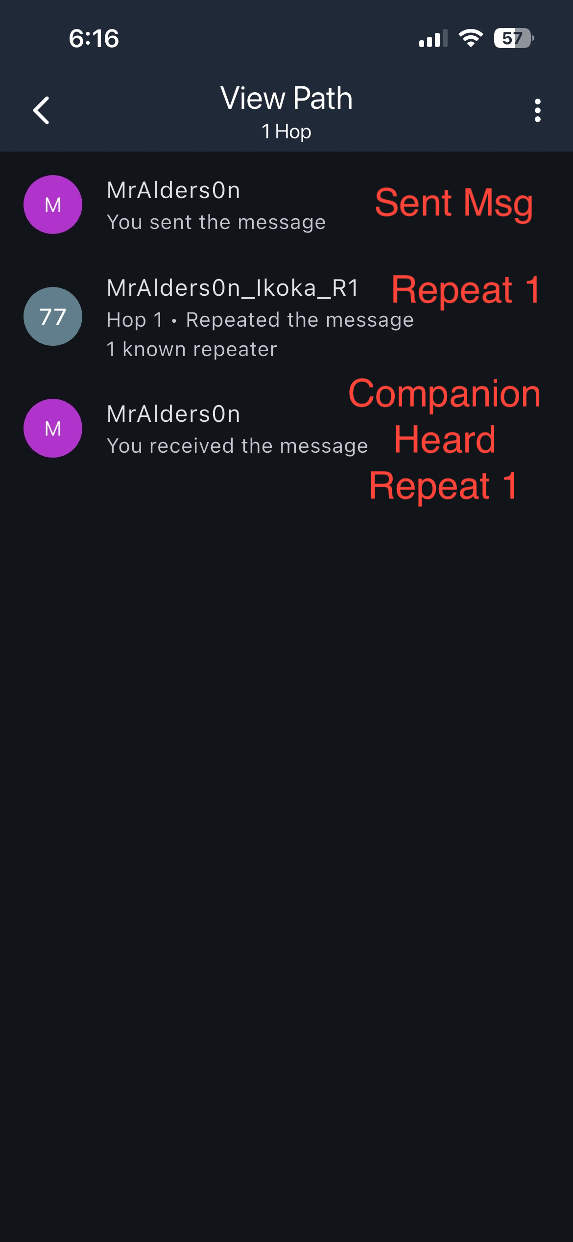 Companion View