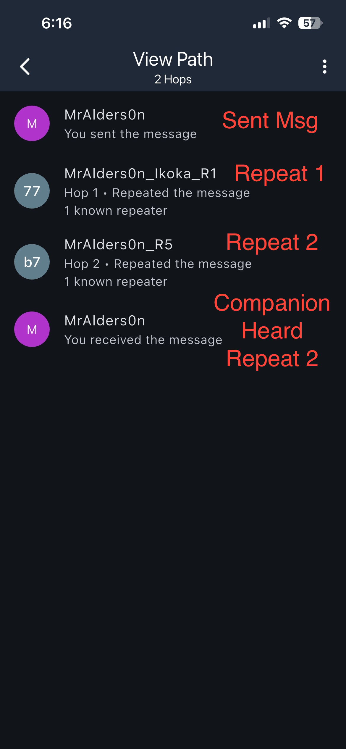 Companion View